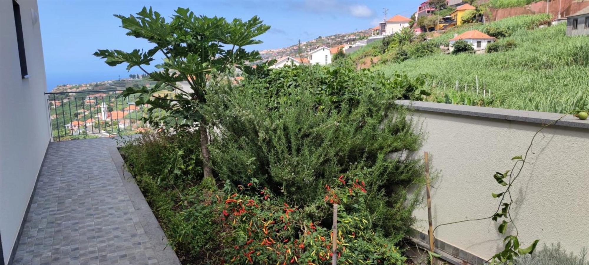 Casa Panorama Sol Villa Ponta do Sol  Exterior photo